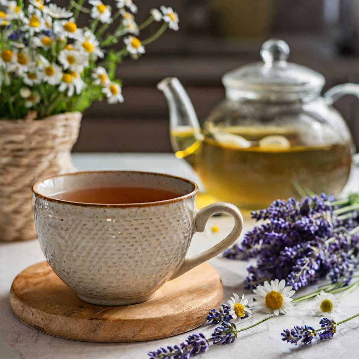 lavender flower tea Relax Herbal Tea