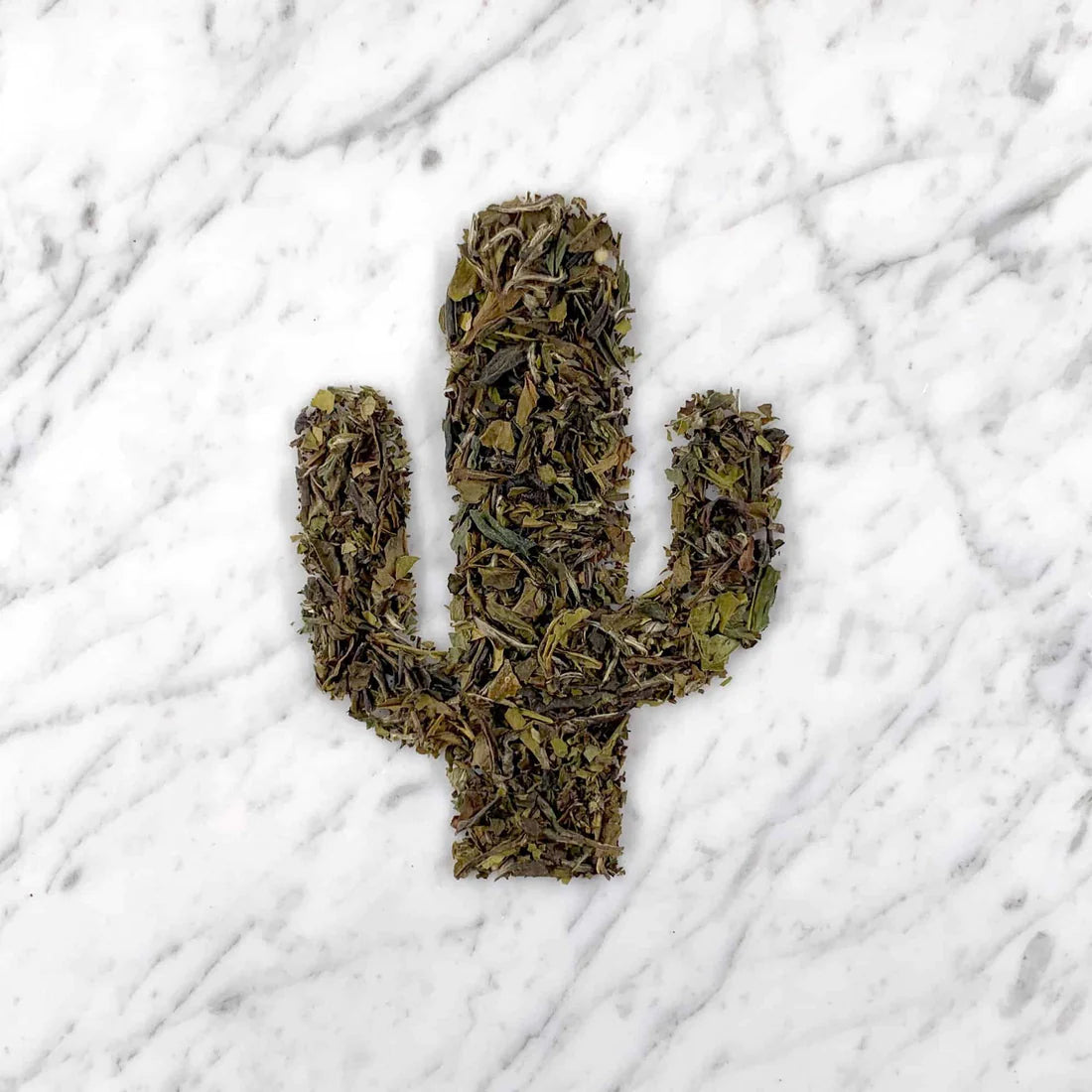 Pai Mu Tan - White Peony loose-leaf tea by Tucson Tea Company