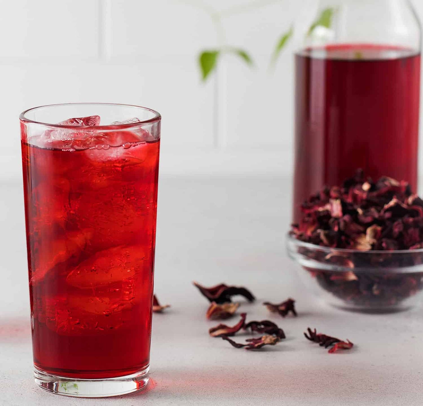 Hibiscus tea by Tucson Tea Company