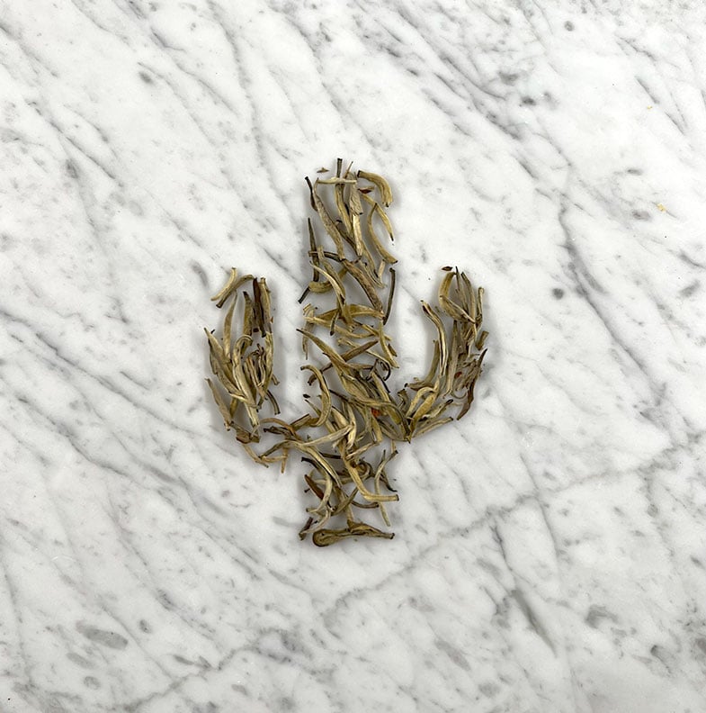 Jasmine Silver Needle White Tea (Light Caffeine) Tucson Tea Company