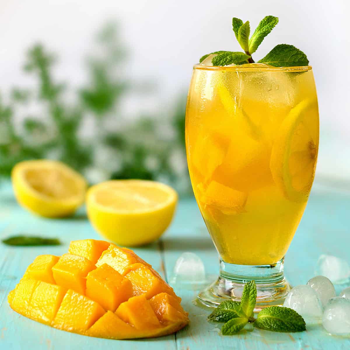 Tucson Tea Island Dreams Mango Gunpowder Green Tea