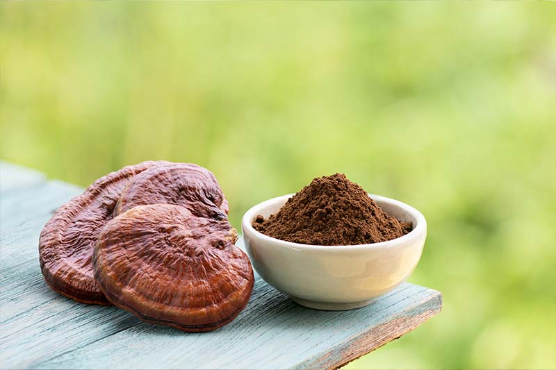 Unlock the Power of Nature: The Health Benefits of Reishi Mushroom Powder and 5 Delicious Recipes