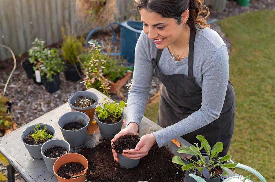 Loose-Leaf Tea in the Garden: A Natural Boost for Your Green Space