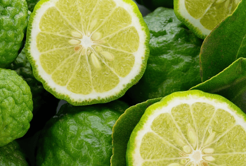 Bergamot tea ingredient spotlight