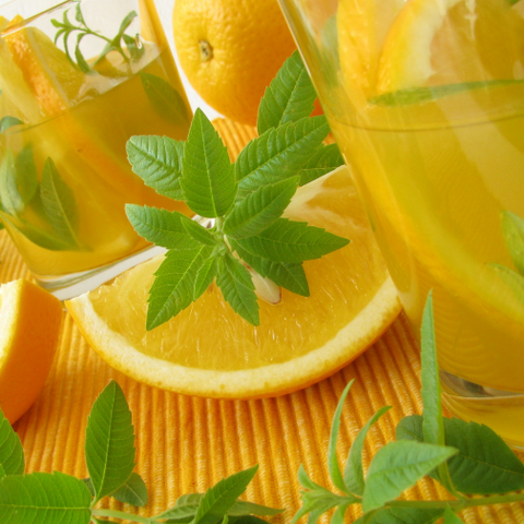 Lemon Verbena