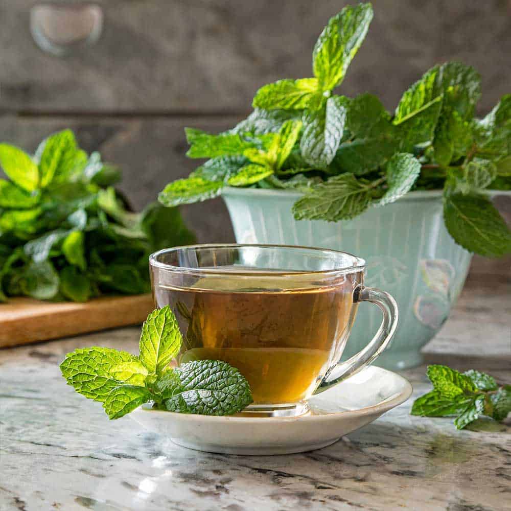 
                      
                        Peppermint leaf tea by Tucson Tea Company
                      
                    