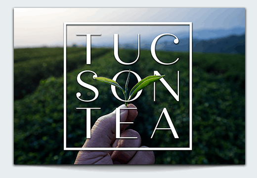 Tucson Tea Company Logo 