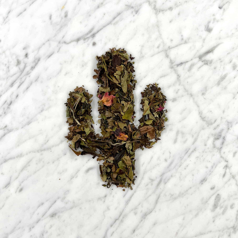 
                      
                        Tucson Tea Company Tropical Bliss White Tea
                      
                    
