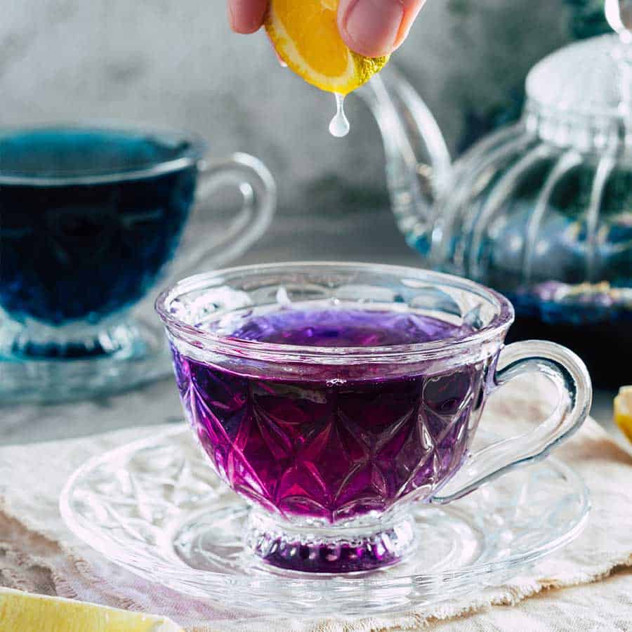 Tucson Tea Butterfly Tea - Blue Herbal Tea 